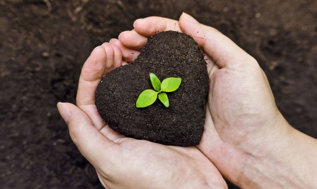 Agriculture and Fertilizers